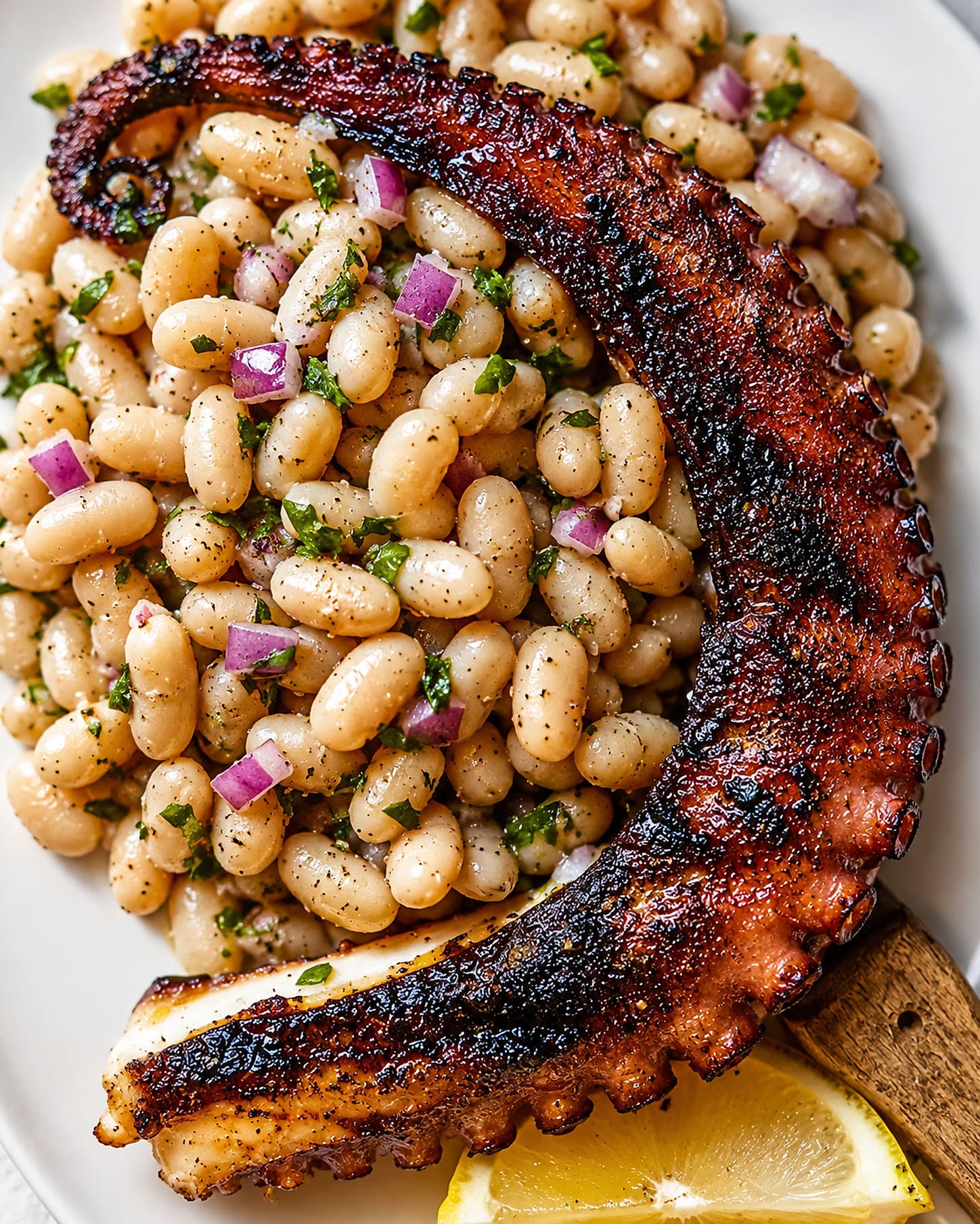 A charred grilled octopus tentacle laid over a salad of white beans, red onion and parsley.